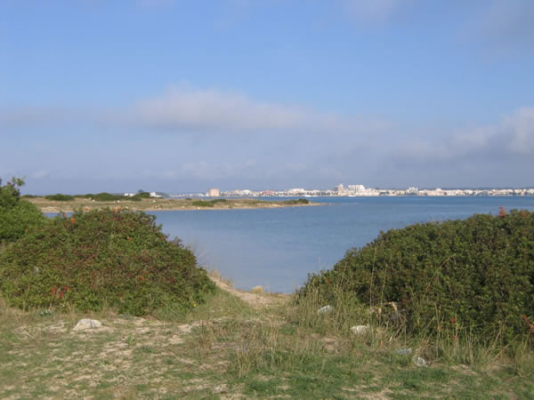 beb porto cesareo